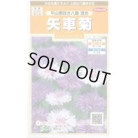 送料無料　花の種　矢車菊　平山寒咲き八重混合　約67粒　(株)サカタのタネ　実咲200（026366）