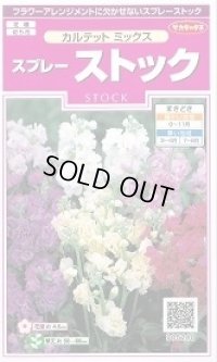 送料無料　花の種　スプレーストック　カルテットミックス　約75粒　(株)サカタのタネ　実咲350（026116）