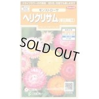 送料無料　花の種　ヘリクリサム　帝王貝細工　モンストローサ　約215粒　　(株)サカタのタネ　実咲200（026355）