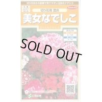 送料無料　花の種　美女なでしこ　切り花用混合　約175粒　(株)サカタのタネ　実咲200（026342）