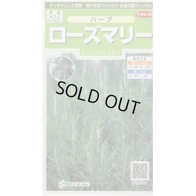 画像1: 送料無料　[ハーブの種]　ローズマリー　約65粒　(株)サカタのタネ　実咲（003194）