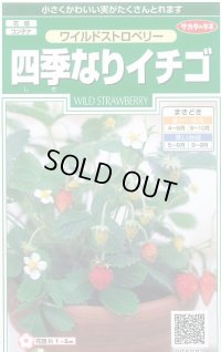 送料無料　花の種　ワイルドストロベリー　(四季なりイチゴ)　約143粒　　(株)サカタのタネ　実咲250（026217）