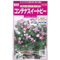 送料無料　花の種　コンテナスイートピー　キューピッドミックス　約15粒　(株)サカタのタネ　実咲350（026115）