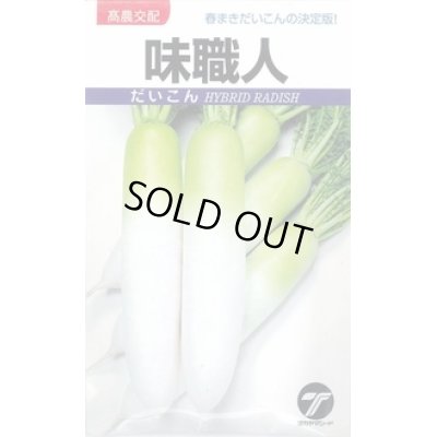 画像1: 送料無料　[大根]　味職人　20ml　(株)タカヤマシード