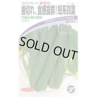 送料無料　[キュウリ]　万里の香り　1.2ml　(株)タカヤマシード