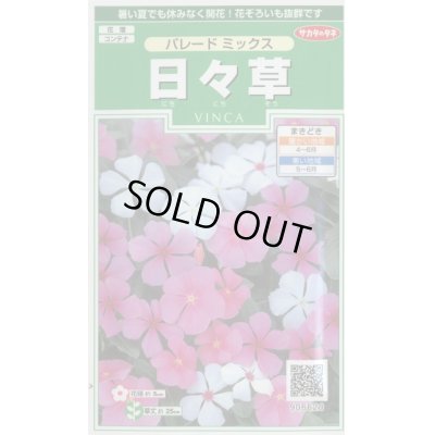 画像1: 送料無料　花の種　日々草　パレードミックス　約100粒　(株)サカタのタネ　実咲250（026265）