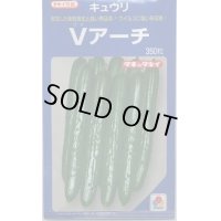 送料無料　[キュウリ]　Ｖアーチ　350粒　タキイ種苗(株)