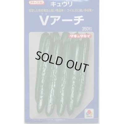 画像1: 送料無料　[キュウリ]　Ｖアーチ　350粒　タキイ種苗(株)