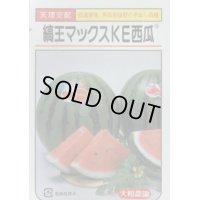 送料無料　[スイカ]　大玉スイカ　縞王マックスＫＥ西瓜　7粒　大和農園