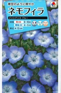 送料無料　花の種　ネモフィラ　インシグニスブルー　1ml　タキイ種苗