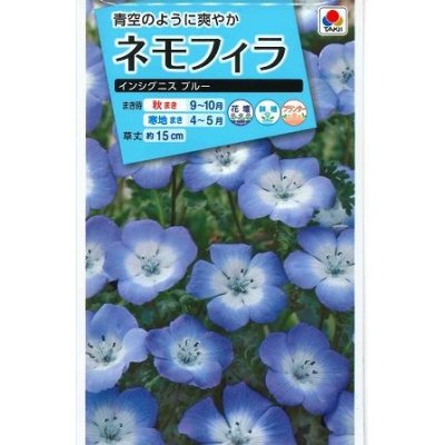 画像1: 送料無料　花の種　ネモフィラ　インシグニスブルー　1ml　タキイ種苗