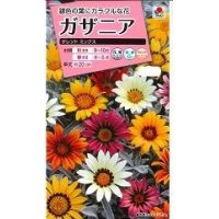 送料無料　花の種　ガザニア　タレントミックス　小袋　タキイ種苗