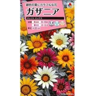 花種 小袋 ガザニア タレントミックス 小袋 タキイ種苗 花種 花種 小袋 春 秋まき グリーンロフトネモト直営