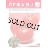 送料無料　[トマト/桃太郎系]　CF桃太郎J　ペレット1000粒