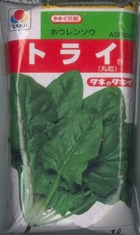 [ほうれんそう]　トライ　1L　タキイ種苗(株)