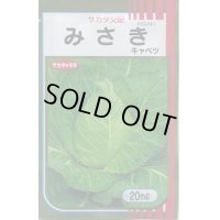 送料無料　[キャベツ]　みさき　20ml　（株）サカタのタネ