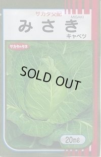 送料無料　[キャベツ]　みさき　20ml　（株）サカタのタネ