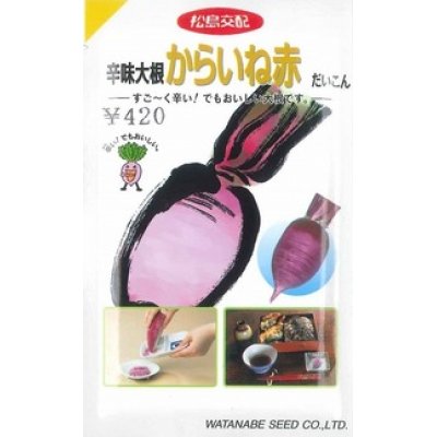 画像1: 送料無料　[大根]　辛味からいね赤　5.4ml(およそ220粒)　(株)渡辺採種場