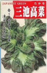 送料無料　[葉物]　三池高菜　10ml　(株)タカヤマシード