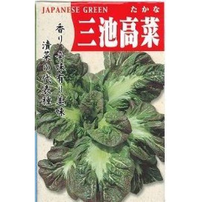 画像1: 送料無料　[葉物]　三池高菜　20ml　(株)タカヤマシード