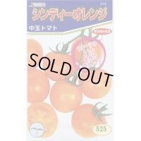 [トマト/中玉トマト]　シンディーオレンジ　1000粒　(株)サカタのタネ