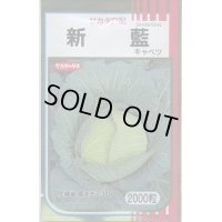 送料無料　[キャベツ]　新藍　2000粒　（株）サカタのタネ