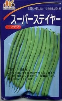 送料無料　[いんげん]　スーパーステイヤー　30ml（10％増量）　ヴィルモランみかど