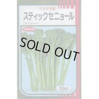 送料無料　[ブロッコリー]　スティックセニョール　10ml　(株)サカタのタネ