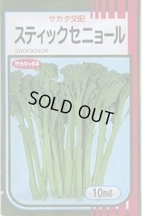 送料無料　[ブロッコリー]　スティックセニョール　10ml　(株)サカタのタネ