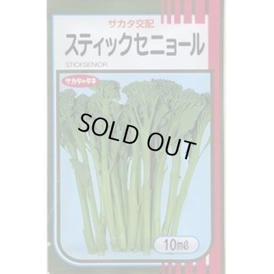 画像1: 送料無料　[ブロッコリー]　スティックセニョール　10ml　(株)サカタのタネ