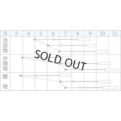 画像2: 送料無料　[キャベツ]　初秋　1.8ml(約200粒)　タキイ種苗(株)　DF