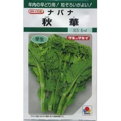 画像1: 送料無料　[葉物]　秋華　2dl　タキイ種苗(株)