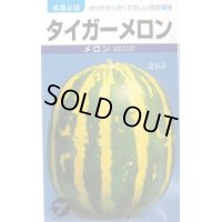 送料無料　[メロン]　タイガーメロン　1.5ml　(株)タカヤマシード