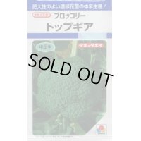 送料無料　[ブロッコリー]　トップギア　1.1ml　貴種(コートしてません)　タキイ種苗(株)　DF