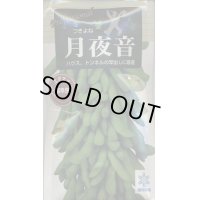 送料無料　[枝豆]　月夜音　70ml(およそ160粒)　雪印種苗(株)