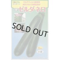 送料無料　[ズッキーニ]　ゼルダ・ネロ　10粒　トキタ種苗(株)