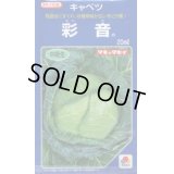 送料無料　[キャベツ]　彩音　2000粒　タキイ種苗(株)