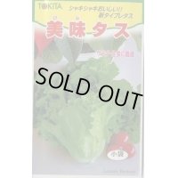 送料無料　[レタス]　美味タス　2ml(およそ700粒)　トキタ種苗(株)