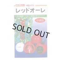 送料無料　[トマト/中玉トマト]　レッドオーレ　13粒　カネコ交配