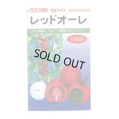 画像1: 送料無料　[トマト/中玉トマト]　レッドオーレ　コート600粒　カネコ交配