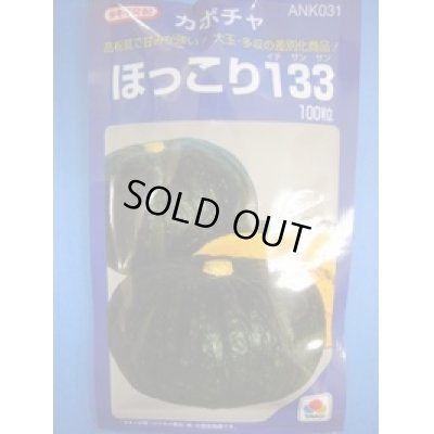 画像1: 送料無料　[かぼちゃ]　ほっこり133　100粒　タキイ種苗(株)