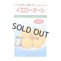 送料無料　[トマト/中玉トマト]　イエローオーレ　14粒　カネコ交配