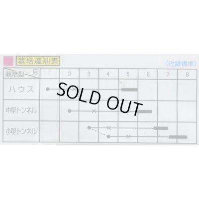 画像2: 送料無料　[瓜類]　まくわ　金城　1ml　大和農園