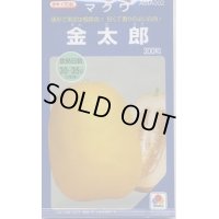 送料無料　[瓜類]　マクワ　金太郎　300粒　タキイ種苗(株)