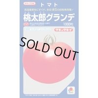 送料無料　[トマト/桃太郎系]　桃太郎グランデ　1000粒　タキイ種苗(株)