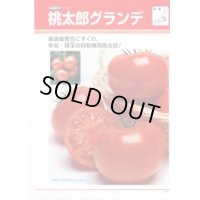 送料無料　[トマト/桃太郎系]　桃太郎グランデ　ペレット1000粒　タキイ種苗(株)