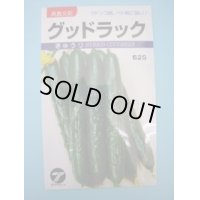 送料無料　[キュウリ]　グッドラック　0.9ml　(株)タカヤマシード