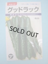 送料無料　[キュウリ]　グッドラック　0.9ml　(株)タカヤマシード