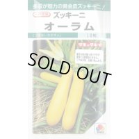 送料無料　[ズッキーニ]　オーラム　16粒　タキイ一代交配　GF