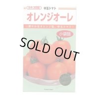 送料無料　[トマト/中玉トマト]　オレンジオーレ　14粒　カネコ交配